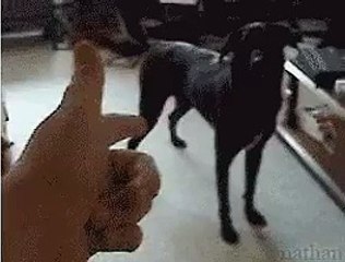 hahaha nice enjoy fun and comedy