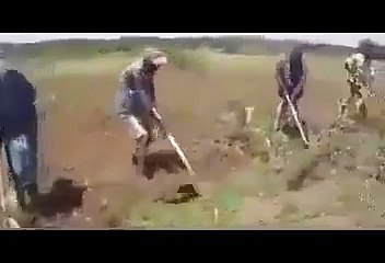 Haydi Çalışalım! - Afrikada Müzik Eşliğinde Çalışmak