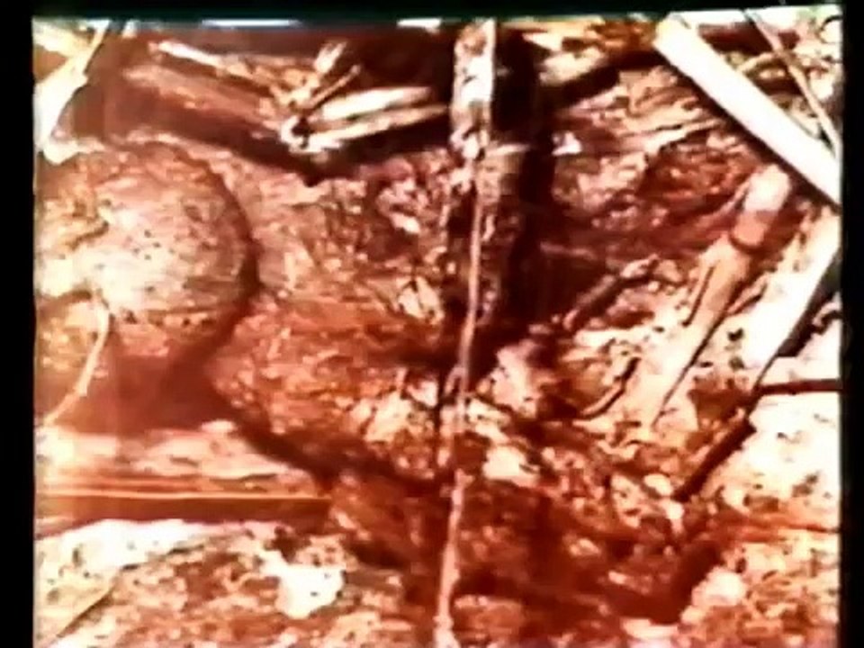 Programa 3ª Visão - Ufo: Enigma no Céu - 2/2