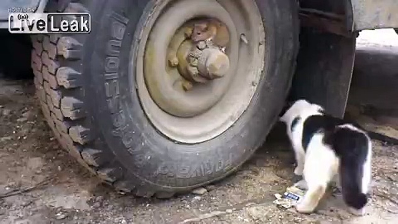 Tom and Jerry - Russian edition