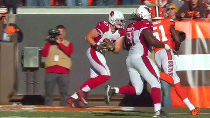 Cardinals Carson Palmer finds Troy Niklas for 1-yard TD