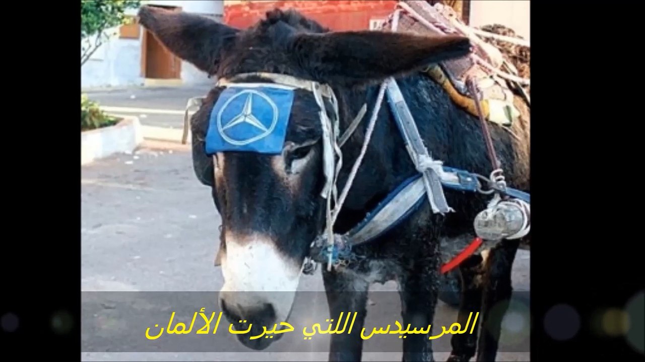 INSOLITE MAROC