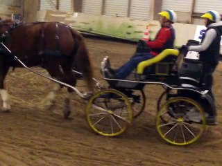 Hervé / Tinette indoor Ecuries de Penfrat 2015