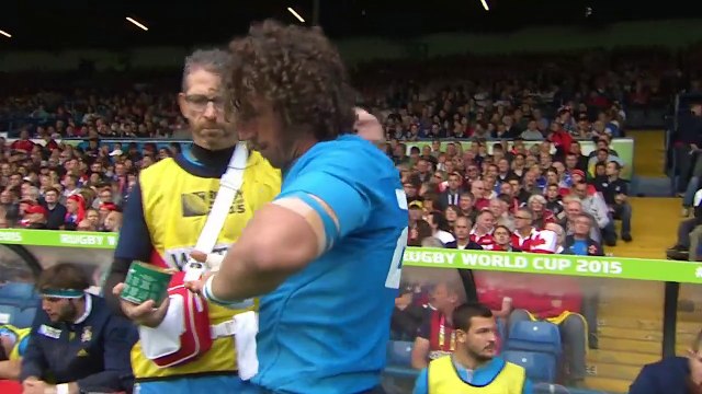 Best of Coupe du monde de rugby 2015