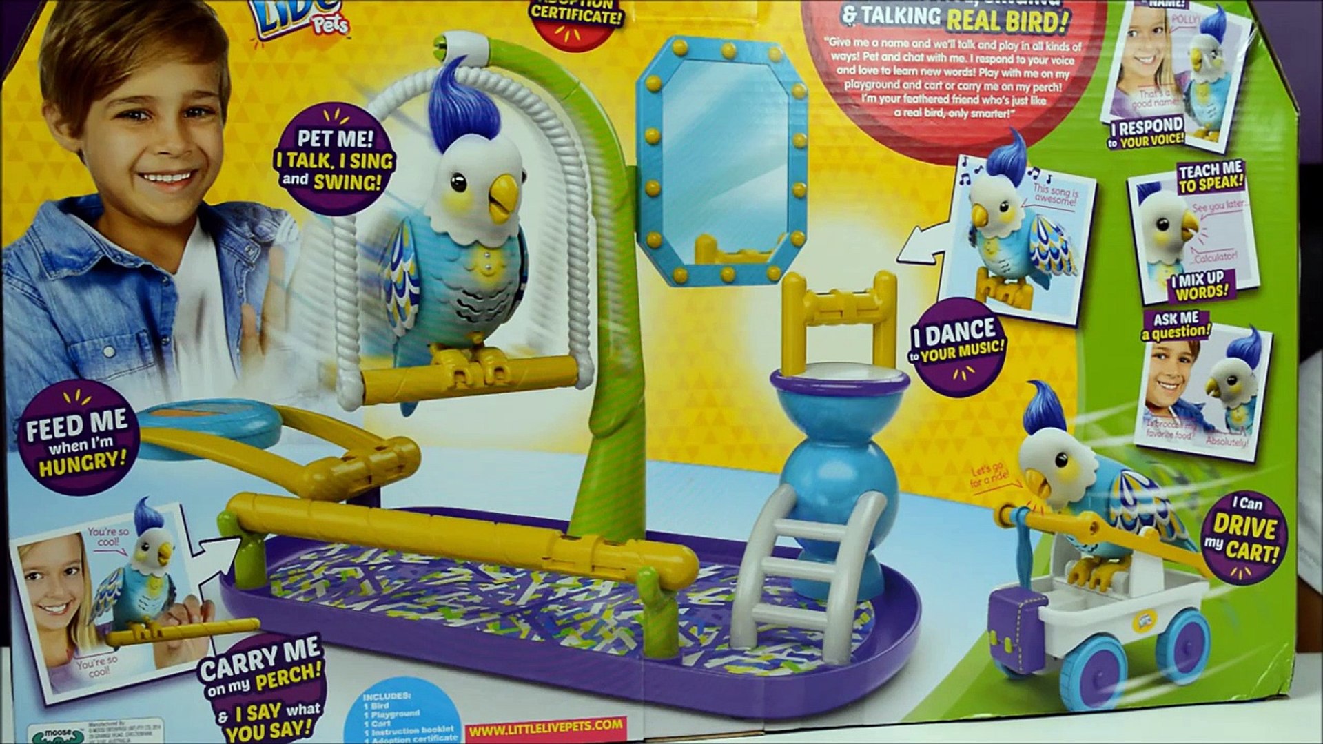 Little Live Pets Cleverkeet Parrot Kids Toy Review Toys Andme Dailymotion Video