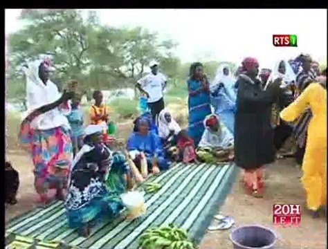 Journal Télévisé de la RTS1 du Journal du Dimanche 01 Novembre 2015 (Édition du soir)