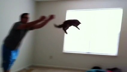 Это его любимая игра!