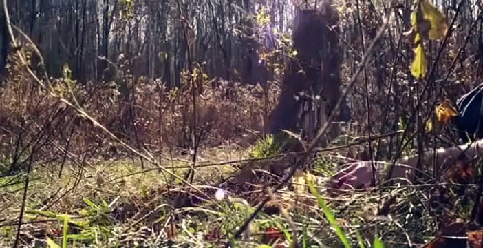 Gore, Quebec (2014) Trailer