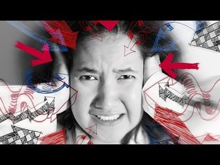 The FLIGHT or FIGHT mechanism explained in a simple way