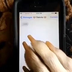 When The Baes Parents Arent Home