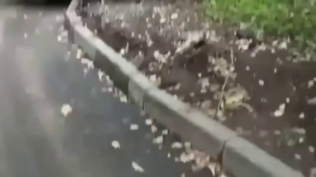 Эти девушки взорвали интернет 2014