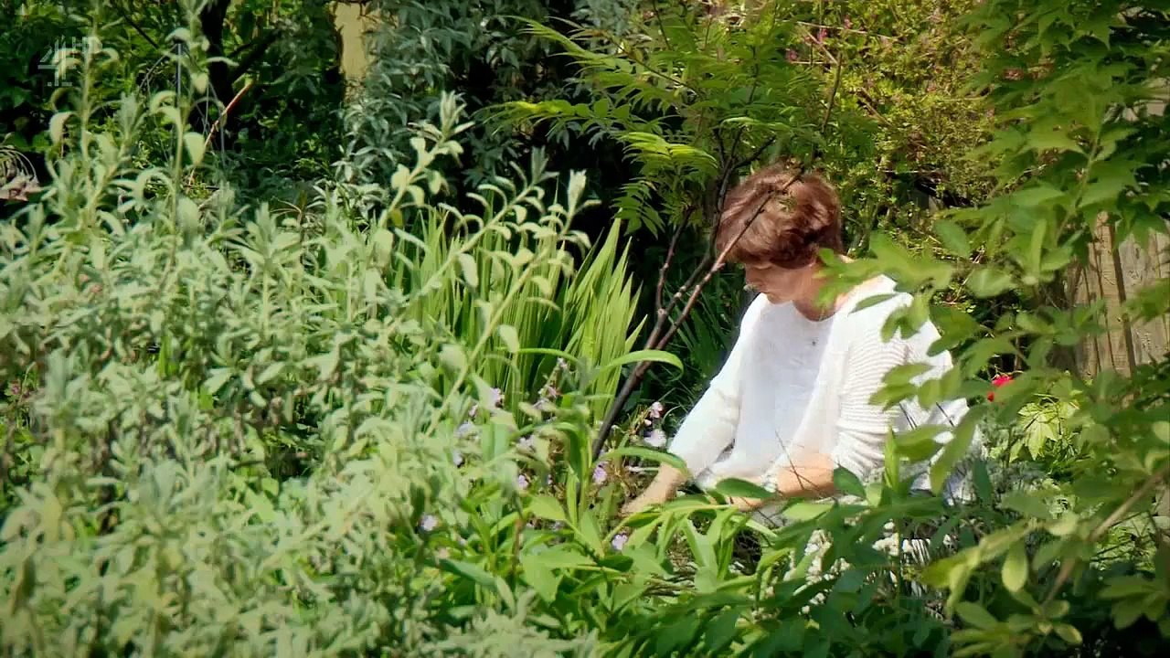 Grand Designs Series 16 8of8 The Floating House Revisited 720p