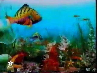 فاصل اشهاري في التلفزة المغربية 2004