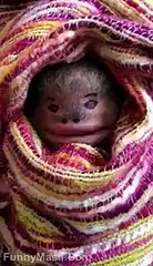 Dad Become A Alian For His Son Hilarious Video