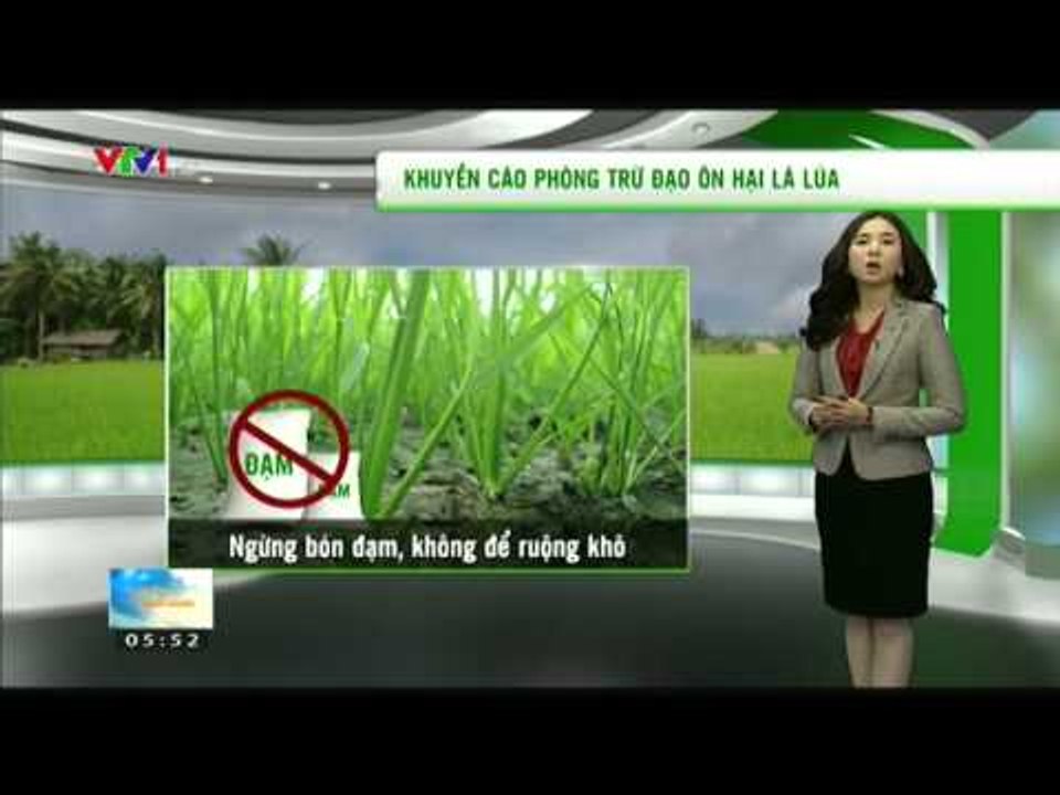 THỜI TIẾT | 5H45 - 02/11/2015