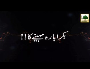 Bakra 12 Mahine Ka - Short Bayan - Maulana Ilyas Qadri