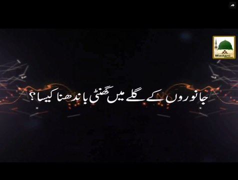 Janwaron Ke Gale Mein Ghanti Bandhna Kaisa - Short Bayan - Maulana Ilyas Qadri