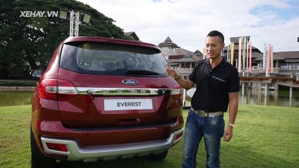 city ford binh trieu chuyên cung cấp những dòng sản phẩm tốt nhất