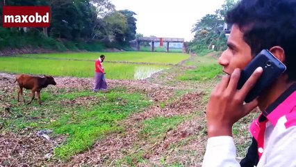 Bangla _ Funny _ Video (Tomar chokhe takale)