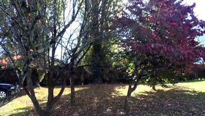 LES PROMENADES DE MICHOU W-D.D. - 30 OCTOBRE 2015 - UN DÉTOUR POUR RENTRER DE LA RUE DE SUÈDE.