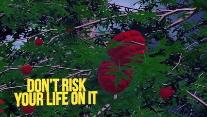 ZOMBIE Apocalypse In REAL LIFE - Survival Tips - DAY 1 - EPIC !!!