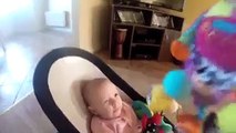 Guilty dog tries to apologize for stealing baby's toys