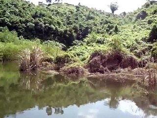 Mahamaya Water Fall, Mirsarai, Chittagong, Bangladesh