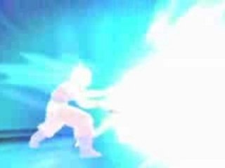 Dragonball z shin budokai 2