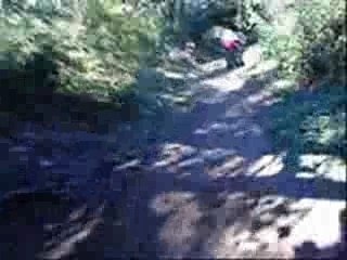 Vtt freeride