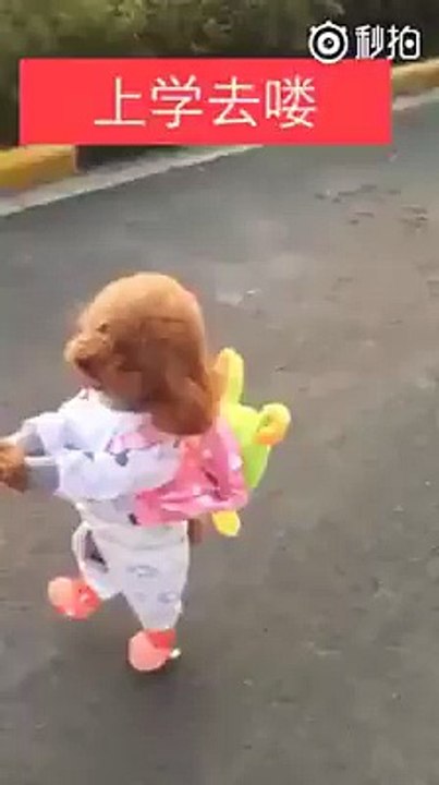 Ce chien est trop adorable