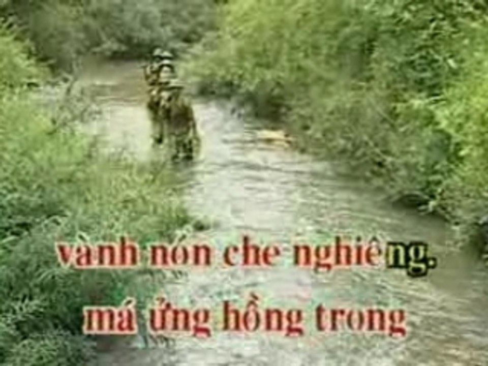 Hoa tim bang lang - linh chau ( tan co )