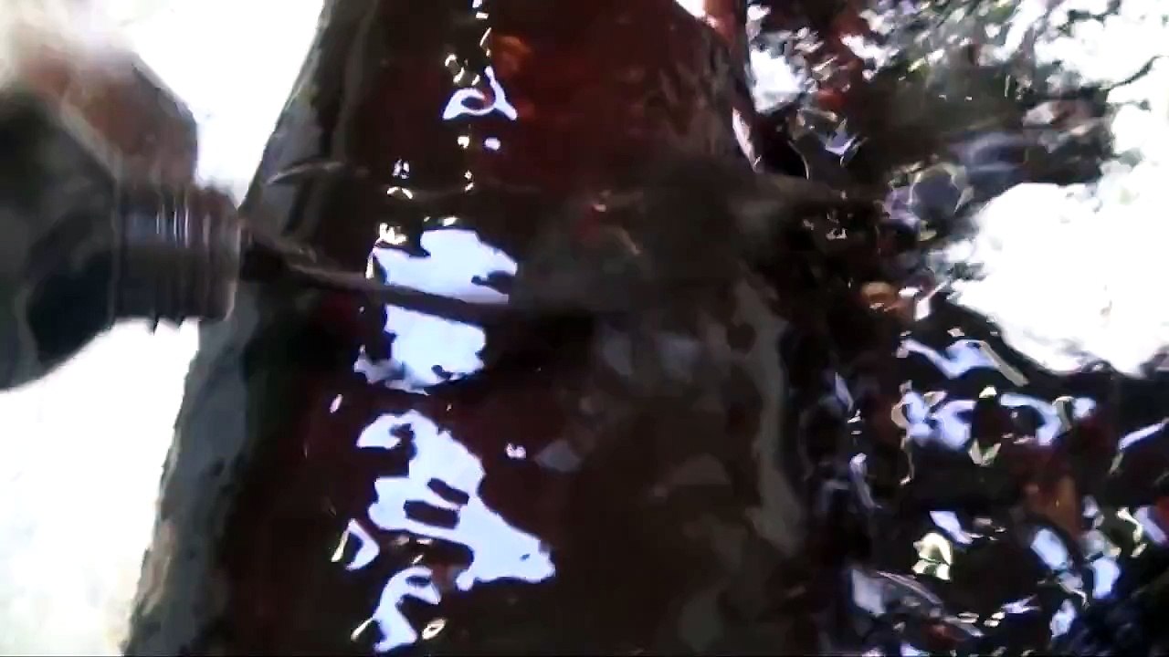 How To Morph Into a Chocolate Cake