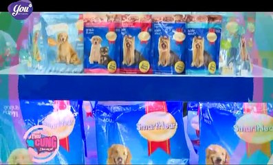 Kênh YouTV - Chương trình Thú Cưng - I Love My Pet - Số 1 - P1