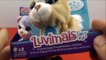 FurReal Friends Luvimals Singing Kitten and Bunny Hasbro Kids Toy Review