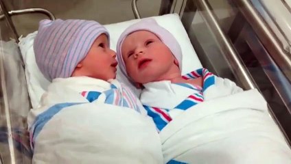 Newborn -one-hour-old - twins have first conversation - Babies Videos