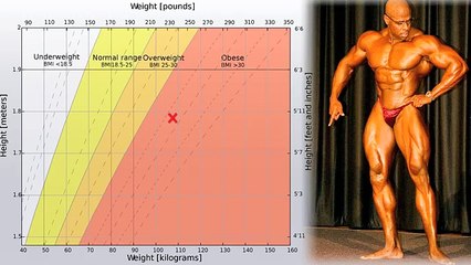 Waist Circumference Less Than Half Your Height