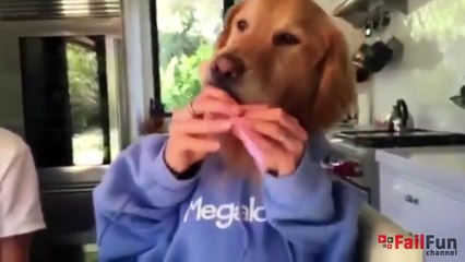 Epic Fails Compilation #21 __ June 2015 __ FailFun