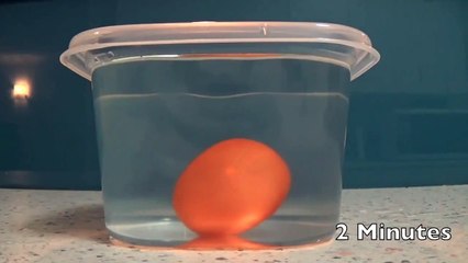 How To Dissolve an Eggshell