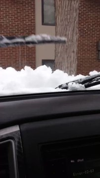 Certaines personnes n'ont pas besoin de grand chose pour s'amuser...