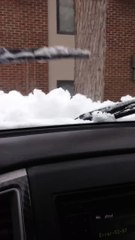 Certaines personnes n'ont pas besoin de grand chose pour s'amuser...