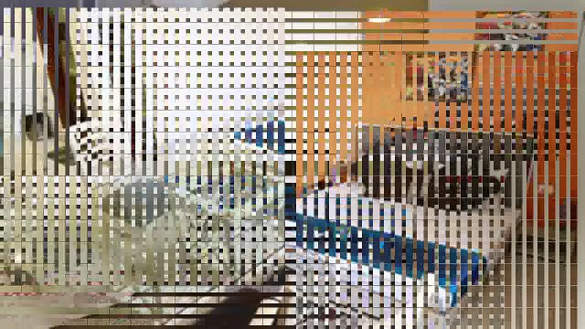 Top 10 Hotels in Noida FabHotel Noida City Centre India