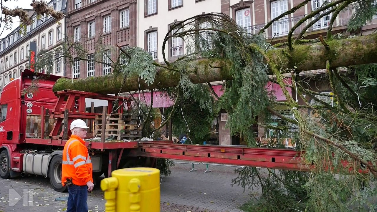 Le grand sapin 2015 dressé place Kléber à Strasbourg