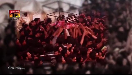 Syed Raza Abbas Zaidi -Noha 2016- HAAN YAY MYRY BYTY HAIN''