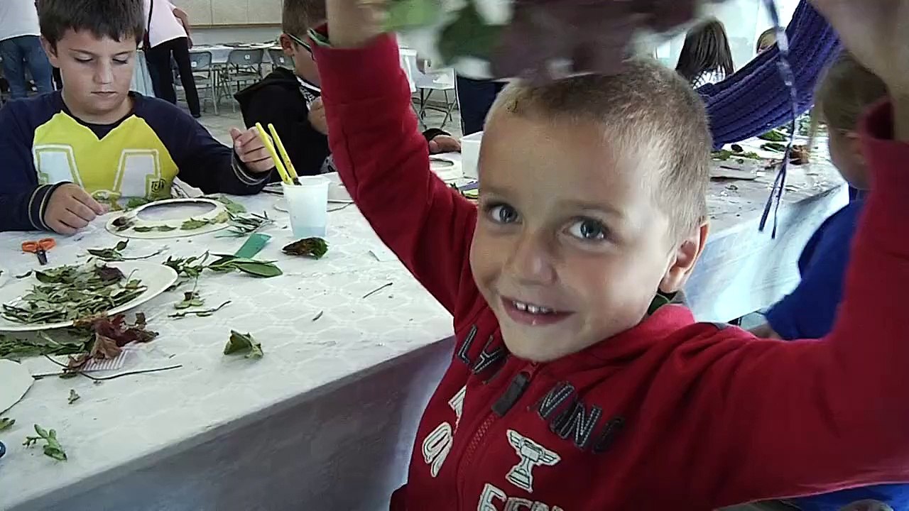 Port-Barcarès : Animations d'automne