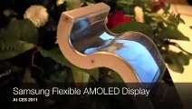 Funny Animal Videos - Samsung Flexible AMOLED Display at CES 2011