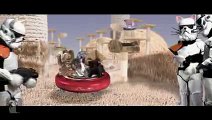 Funny Animal Videos - Star Wars Parody - Paw Warz - Not the Toiz youre looking for - Petody