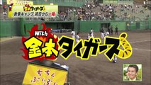 阪神タイガース 安芸･秋季キャンプ 初日 2015.11.01