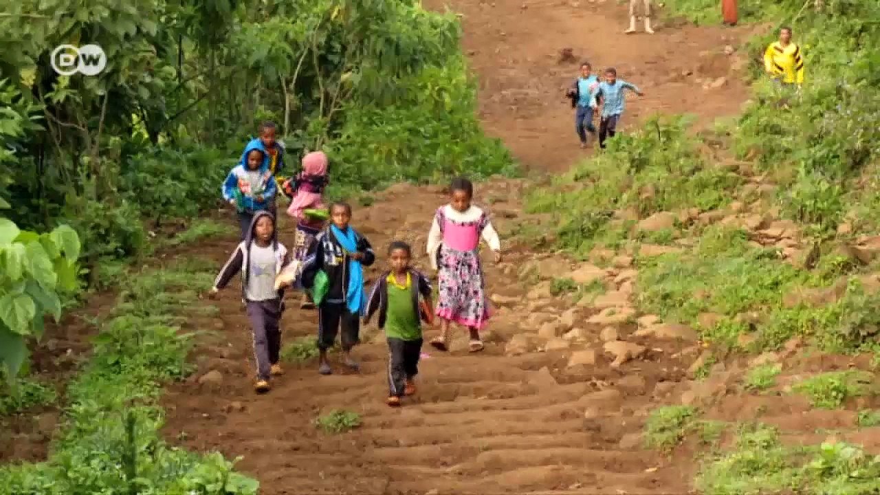 Rettung für einen heiligen Wald | Wissen & Umwelt