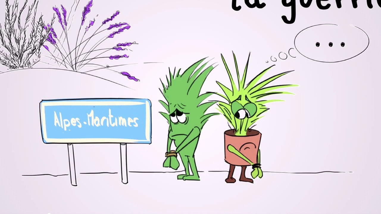 Comprendre la Xylella Fastidiosa