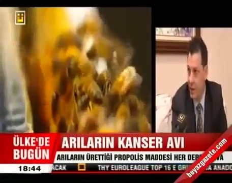 Propolis ve Kanser